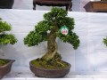 DSCN2880