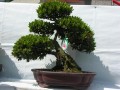 DSCN2899