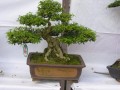 DSCN2893