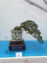 TRIEN_LAM_YEN_TU_2018_26
