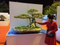 TRIEN_LAM_YEN_TU_2018_9