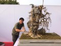 Triển lãm Yên Tử 03-2018 Phần 1