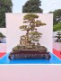 TRIEN_LAM_YEN_TU_2018_4