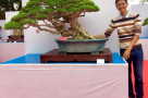 670x445_TRIEN_LAM_YEN_TU_2018_35