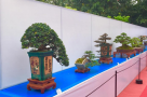 670x445_TRIEN_LAM_YEN_TU_2018_33