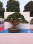 TRIEN_LAM_YEN_TU_2018_2