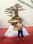 TRIEN_LAM_YEN_TU_2018_23