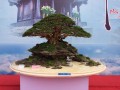TRIEN_LAM_YEN_TU_2018_6