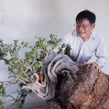 quá trình hình thành tác phẩm linh sam