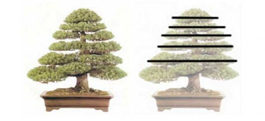 Hướng đến việc có thêm nhiều sáng tạo Nghệ thuật