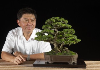 Nghệ Nhân Budi Sulistyo và cây Neea buxifolia