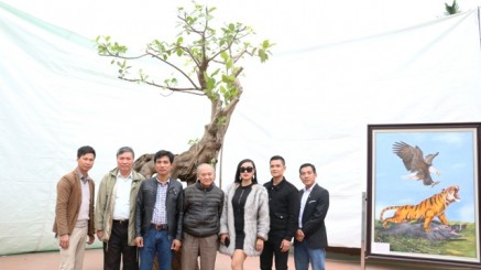 Tìm ý tưởng tạo hình cho tác phẩm Cây cảnh nghệ thuật