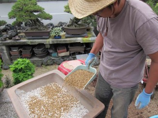 Đất trồng Bonsai (Bonsai soil)