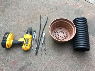 Cách Trồng Rễ Nôm Cho Thông