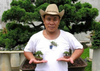 Bonsai tí hon giá hàng chục triệu đồng vẫn cháy hàng