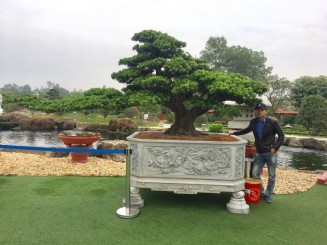 Những thương vụ mua bán siêu cây bạc tỷ gây xôn xao dư luận