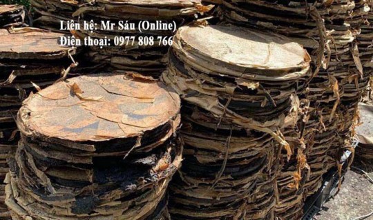 Bánh dầu đài loan
