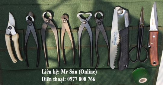 Bộ dụng cụ cắt tỉa cây cảnh T25B