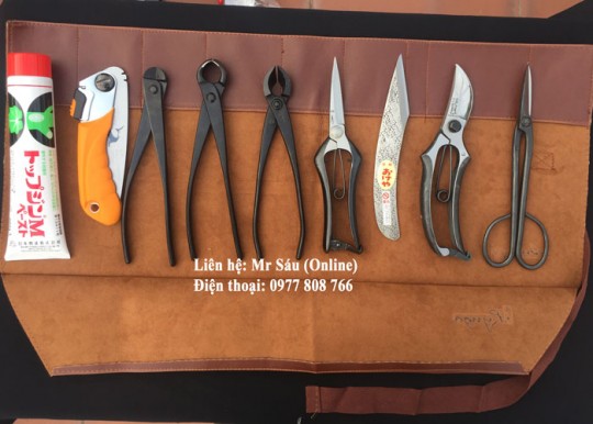 Bộ dụng cụ cắt tỉa cây cảnh F79