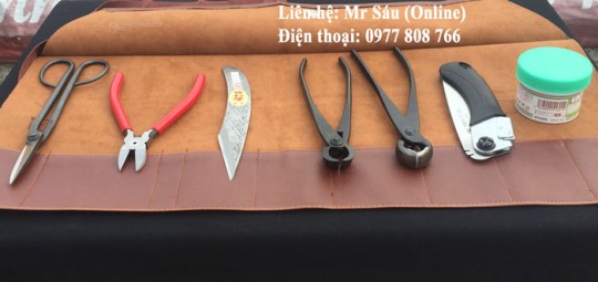 Bộ dụng cụ làm vườn A7