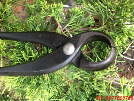 Kềm cạp tròn MASAKUNI 335