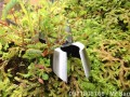 Kềm cạp xéo RC06
