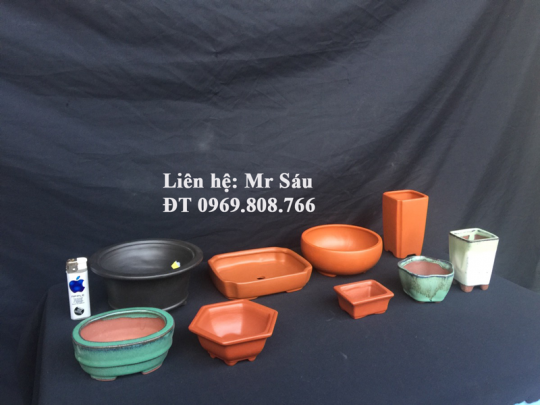 Bộ chậu Bonsai mini T5
