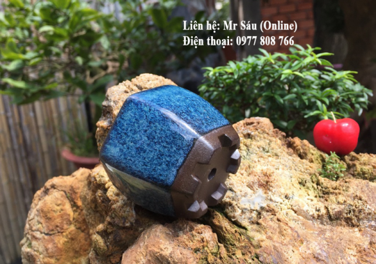 Chậu lục giác mini