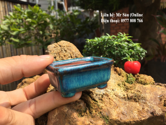 Chậu chữ nhật mini