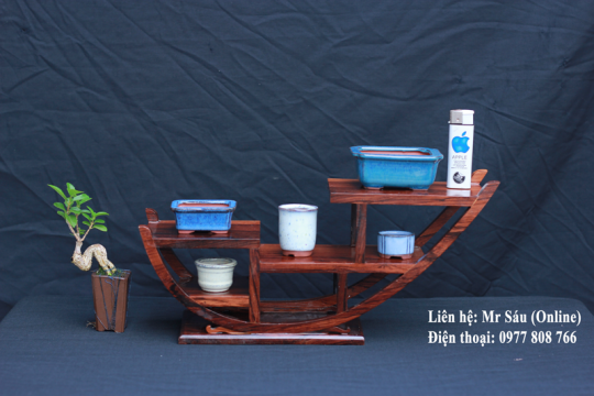 Bộ 5 chậu Bonsai mini T45