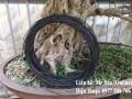 Dây kẽm uốn cây cảnh 4mm