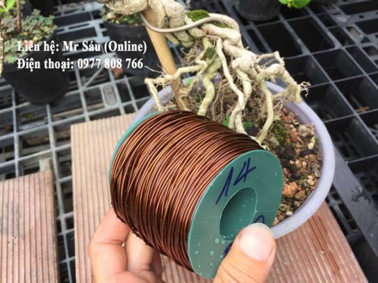 Dây kẽm đồng uốn cây cảnh 1,4 mm