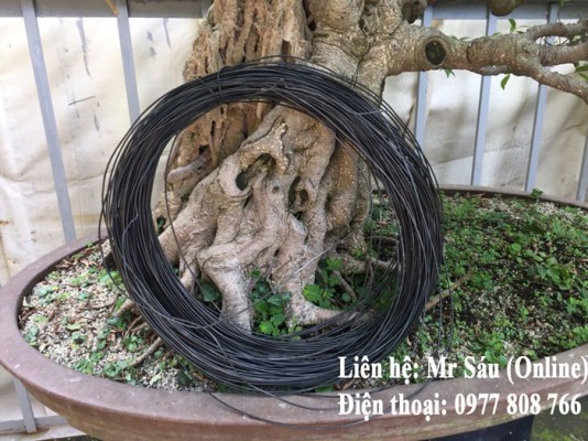 Dây kẽm uốn cây cảnh 4mm