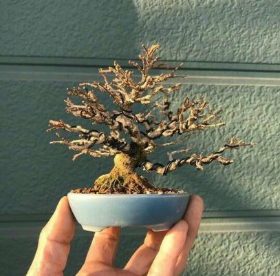 Dây kẽm uốn cây cảnh 6mm