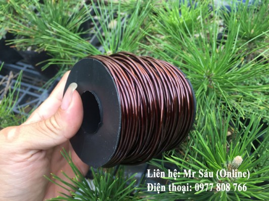 Dây kẽm đồng uốn cây cảnh 2mm