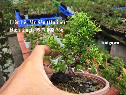 Itoigawa Nhật Bản