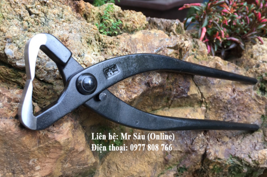 Kềm bổ tùng giá rẻ