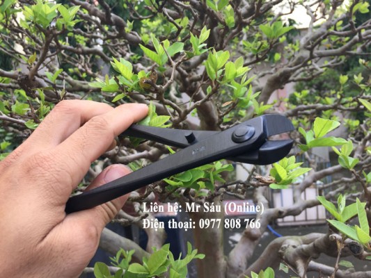 Kềm cắt kẽm Nhật Bản