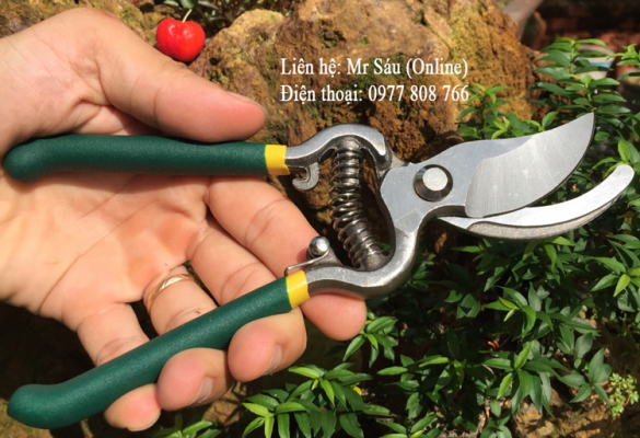Kéo cắt cành nguyên khối giá rẻ FX1