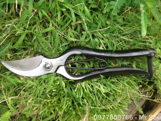Kéo cắt cành KIKUWA - 1078