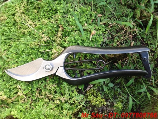 Kéo cắt cành KIKUWA 1042
