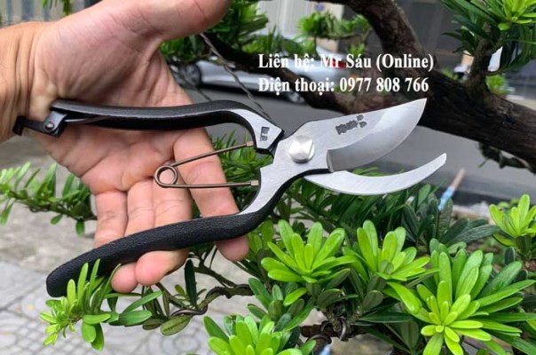 Kéo cắt cành Nhật giá rẻ