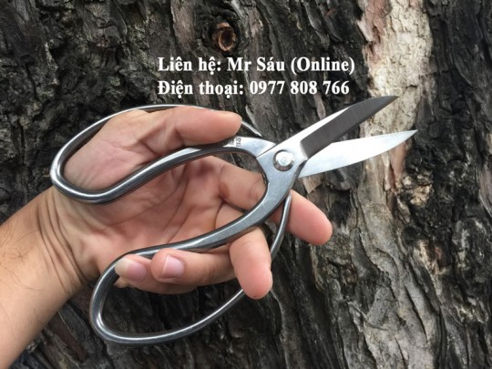 Kéo tỉa dăm, cắt cành nhỏ Nhật Bản
