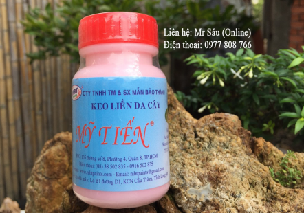 Keo liền da cây Mỹ Tiến