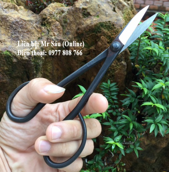 Kéo tỉa cây cảnh Nhật Bản