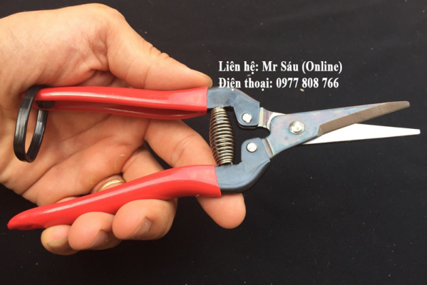 Kéo tỉa ARS Nhật Bản