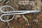 Kéo tỉa thép trắng RS02