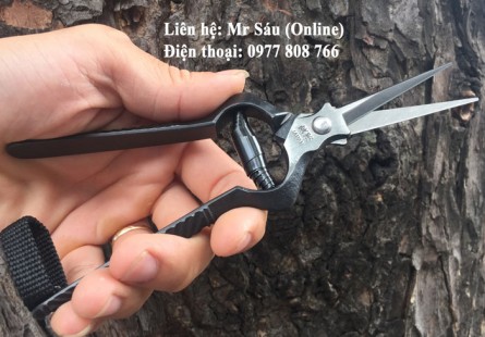 Kéo tỉa dăm, tỉa đọt Koshiji Nhật Bản