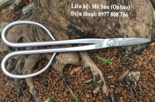 Kéo tỉa thép trắng RS02