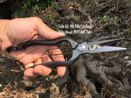 Kéo tỉa B4 Nhật Bản